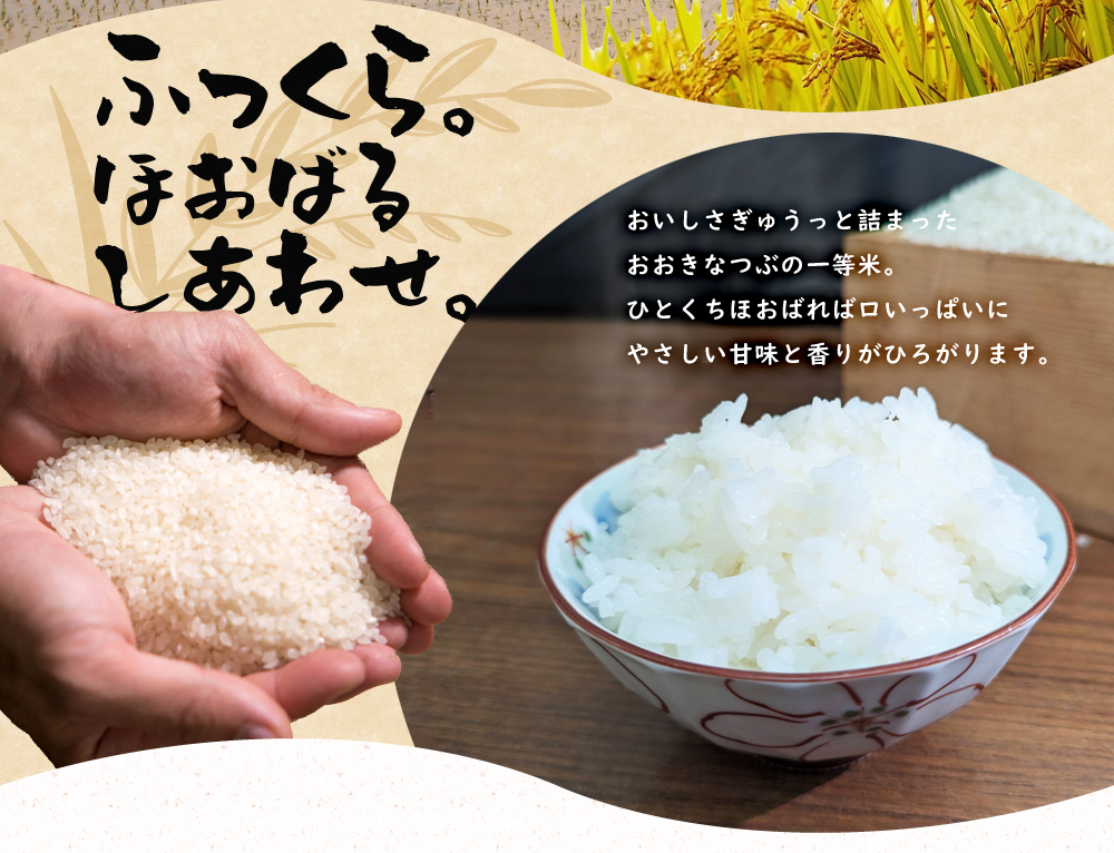 ふっくら。ほおばるしあわせ。：おいしさぎゅうっと詰まったおおきなつぶの一等米。ひとくちほおばれば口いっぱいにやさしい甘味と香りがひろがります。