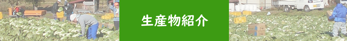生産物紹介