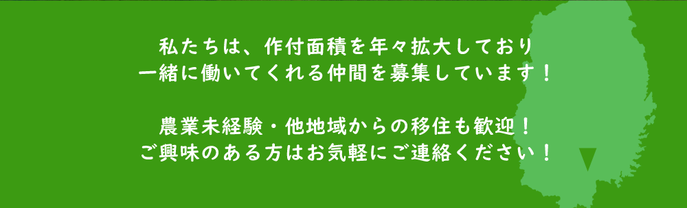 私たちは、作付面積を年々拡大しており一緒に働いてくれる仲間を募集しています！農業未経験・他地域からの移住も歓迎！ご興味のある方はお気軽にご連絡ください！